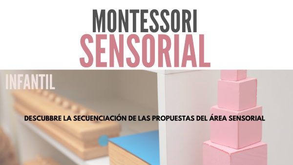 *ACADEMIA* TALLER SENSORIAL MONTESSORI INFANTIL